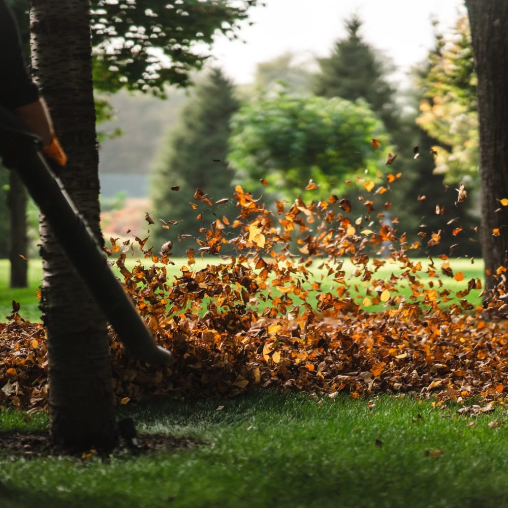 A woman operating a heavy duty leaf blower. Leaves being swirled up